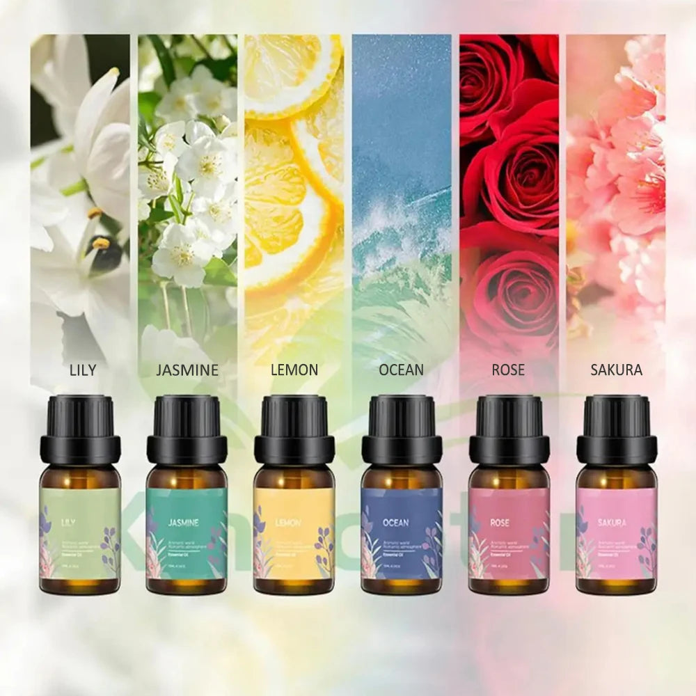Premium Essential Oil Set (6 Bottles)